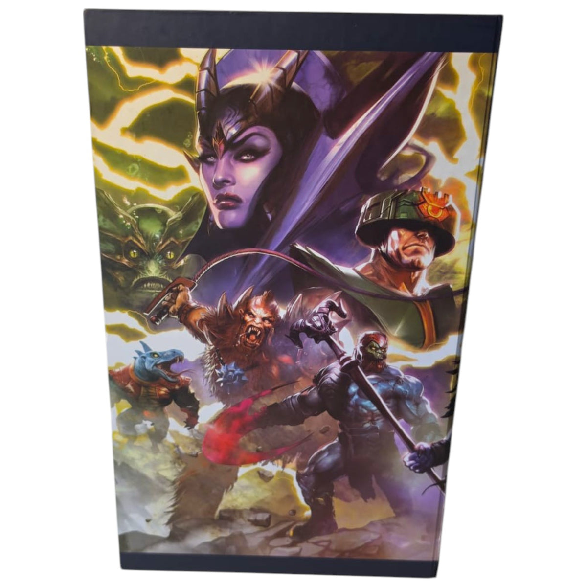 Masters of the Universe - Literatur - Comic Deluxe Box DC von Panini - 4er Box