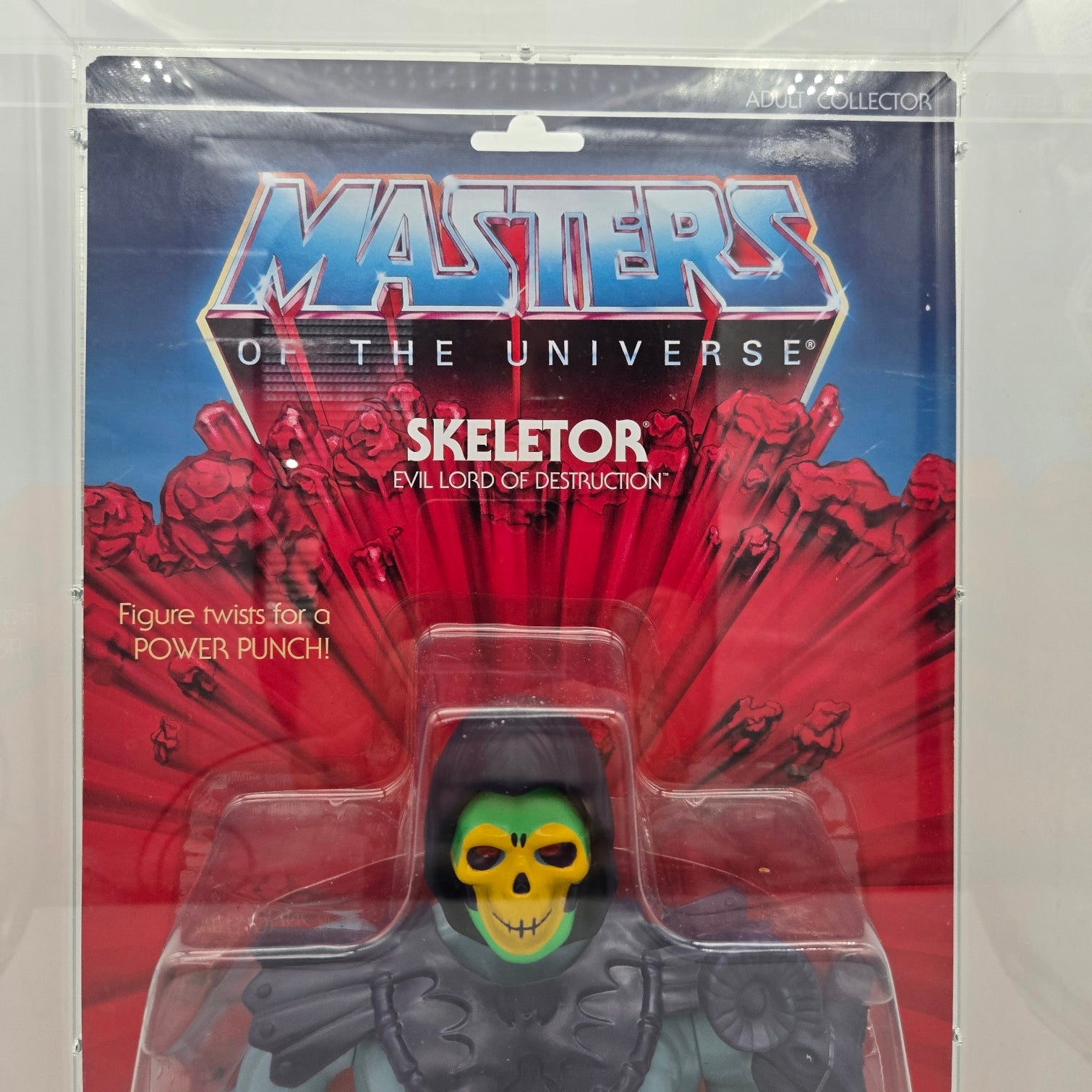 Master of the Universe 12" GIANTS Actionfigur Skeletor 2014 *SORA-CASE*