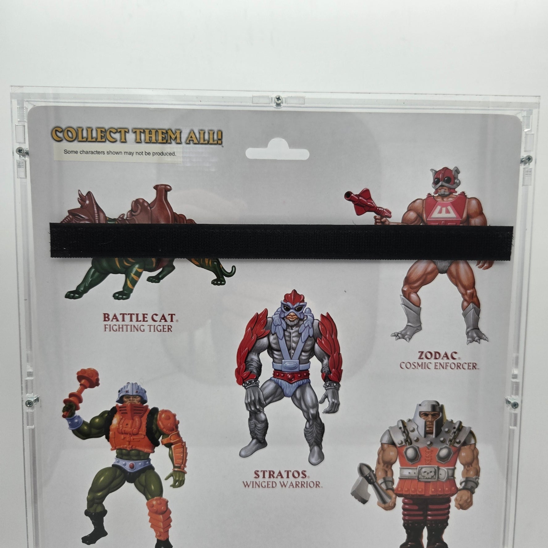 Master of the Universe 12" GIANTS Actionfigur Skeletor 2014 *SORA-CASE*