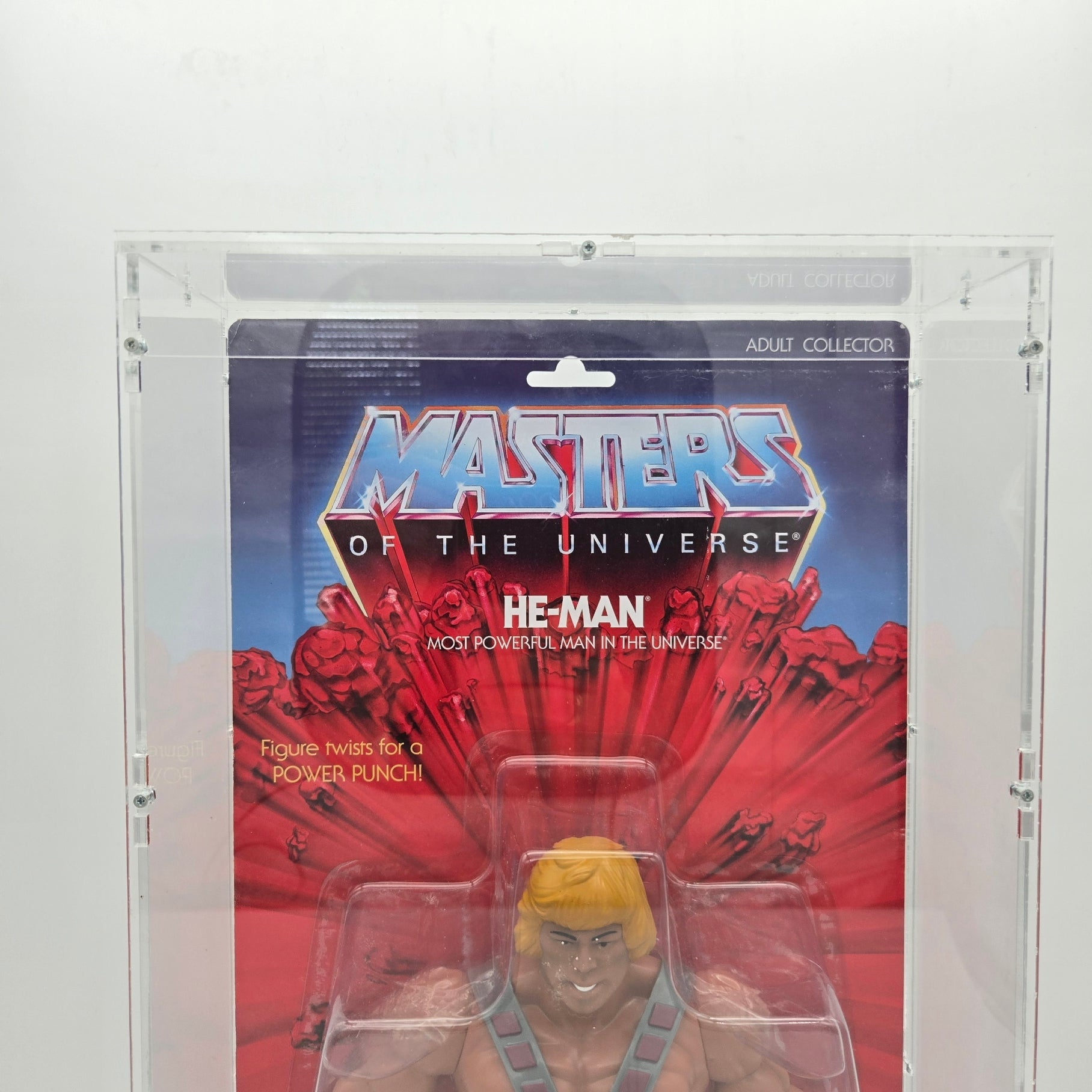 Master of the Universe 12" GIANTS Actionfigur He Man 2014 *SORA-CASE*